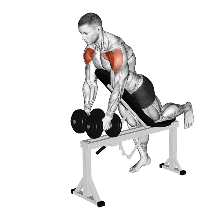 Dumbbell Incline Two Front Raise with Chest Support exercise animation (Male)