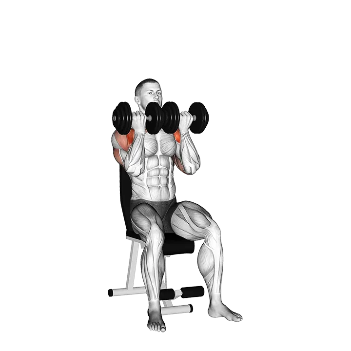 Dumbbell Seated Close Grip Press exercise animation (Male)