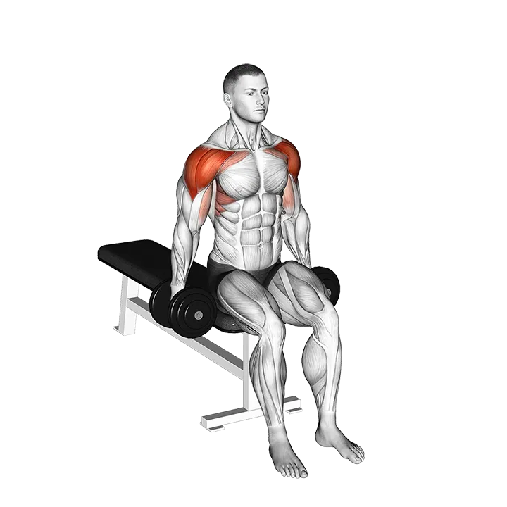 Dumbbell Seated Lateral to Front Raise exercise animation (Male)