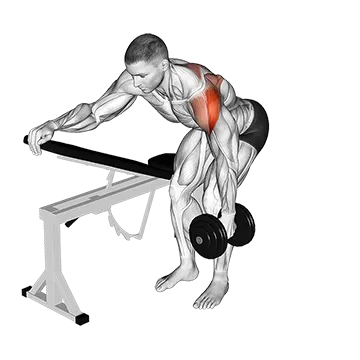Dumbbell One Arm Reverse Fly (with support) (VERSION 2)