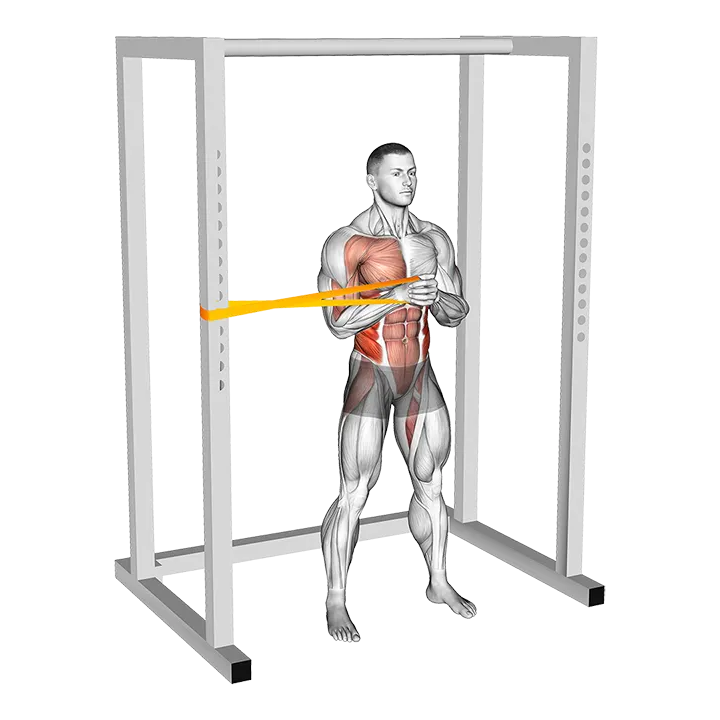 Resistance Band Horizontal Pallof Press exercise animation (Male)