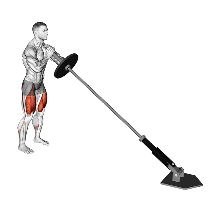 Landmine Front Squat exercise animation (Male)