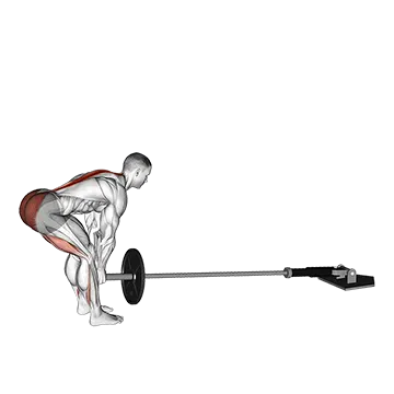 Landmine Romanian Deadlift (VERSION 2)
