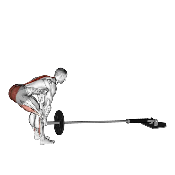 Landmine Romanian Deadlift (VERSION 2) exercise animation (Hombre)