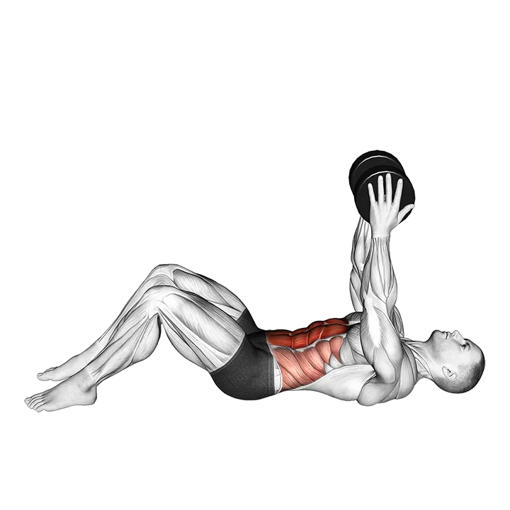 Dumbbell Straight Arm Crunch exercise animation (Male)