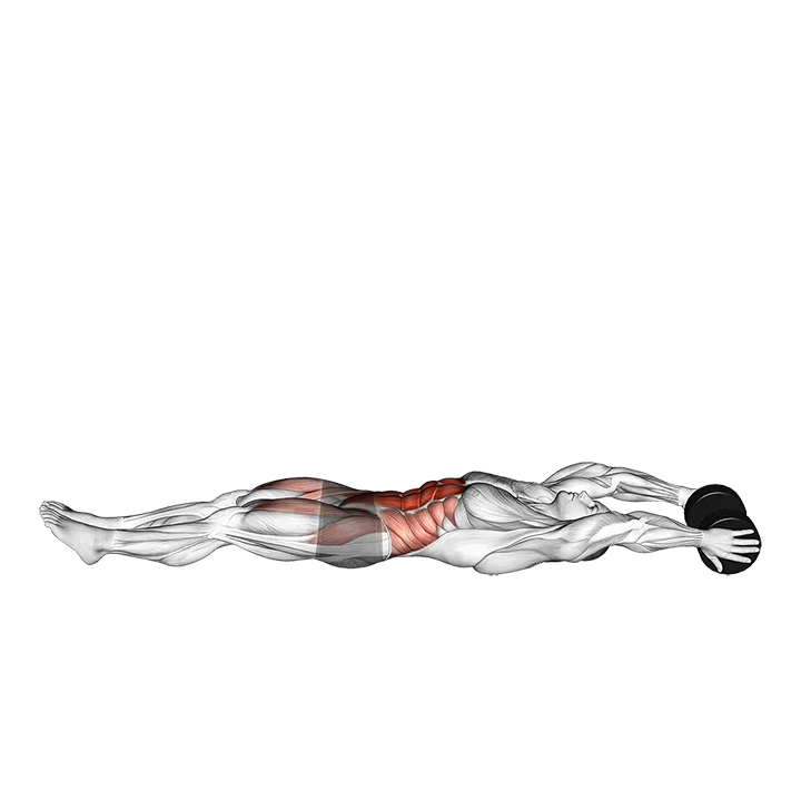Dumbbell V-up (VERSION 2) exercise animation (Männlich)