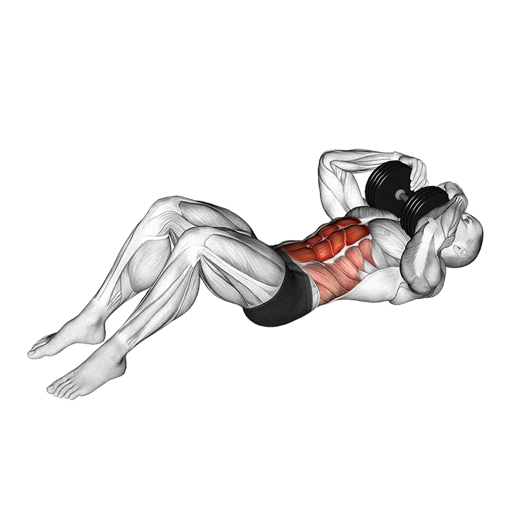 Weighted Crunch (VERSION 2) exercise animation (Male)