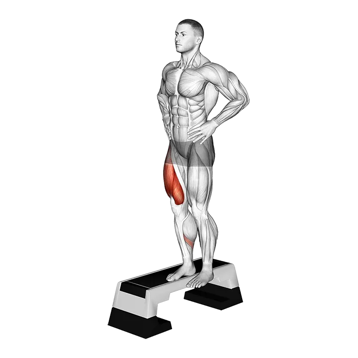 Stepdown Squat exercise animation (Male)