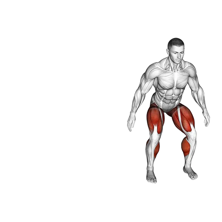 Shuffle exercise animation (Male)