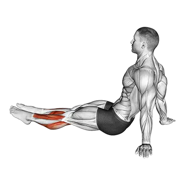 Feet and Ankles Stretch