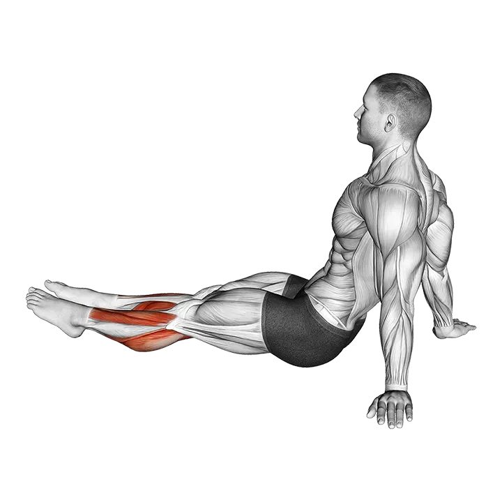 Feet and Ankles Stretch exercise animation (Male)