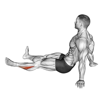 Feet and Ankles Rotation Stretch