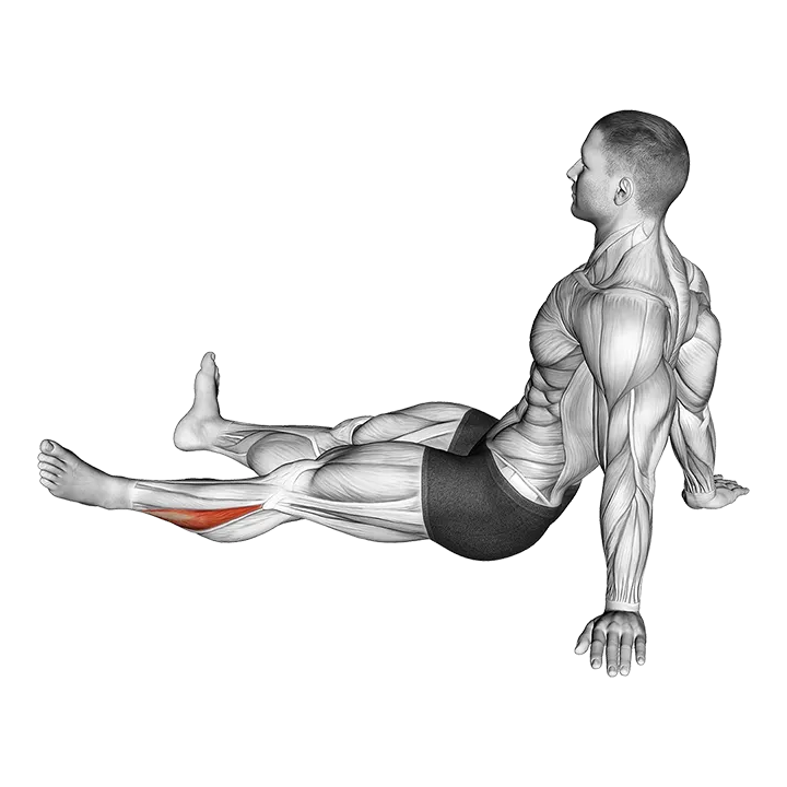 Feet and Ankles Rotation Stretch exercise animation (Male)