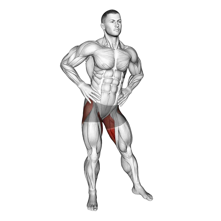 Hip Circles Stretch exercise animation (Male)