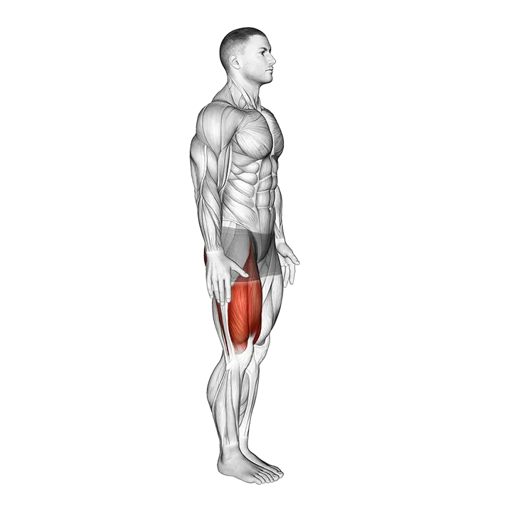 Knee Raise exercise animation (Male)