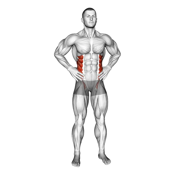 Middle Back Stretch exercise animation (Male)