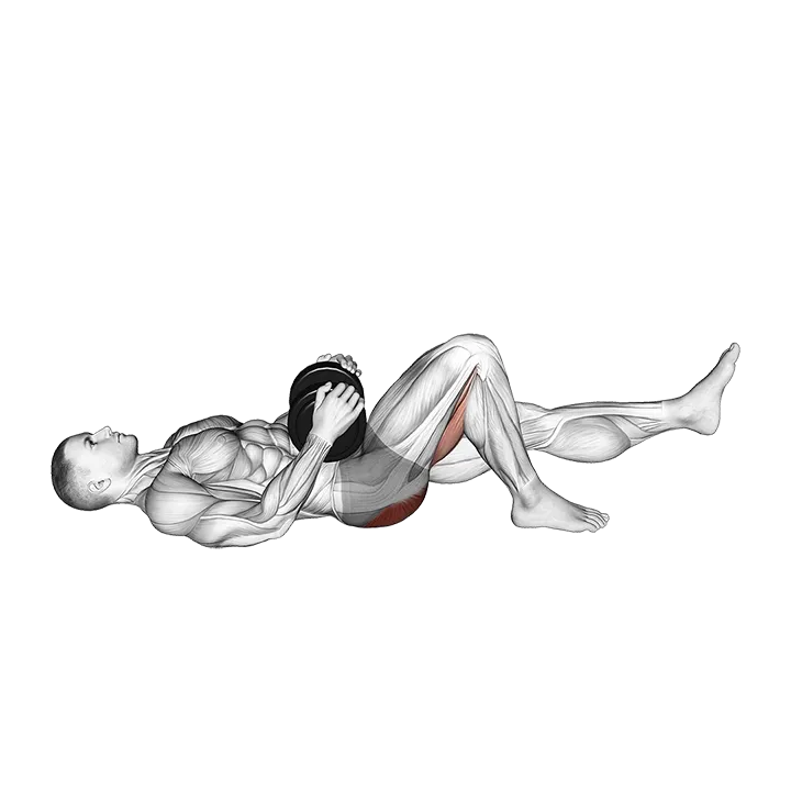 Dumbbell Single Leg Glute Bridge exercise animation (Male)