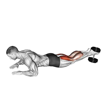 Dumbbell Lying Hamstring Curl