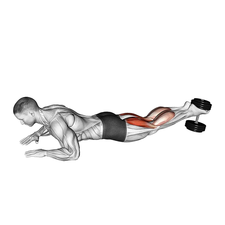 Dumbbell Lying Hamstring Curl exercise animation (Male)