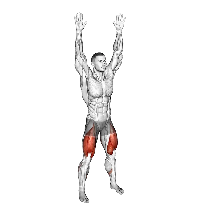 Bodyweight Overhead Squat exercise animation (Male)