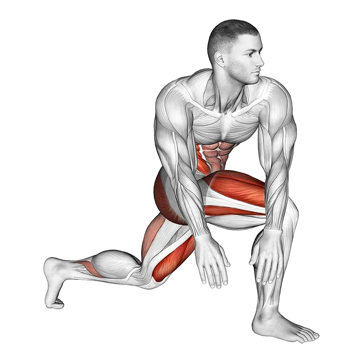 Crossover Kneeling Hip Flexor Stretch exercise animation (Male)