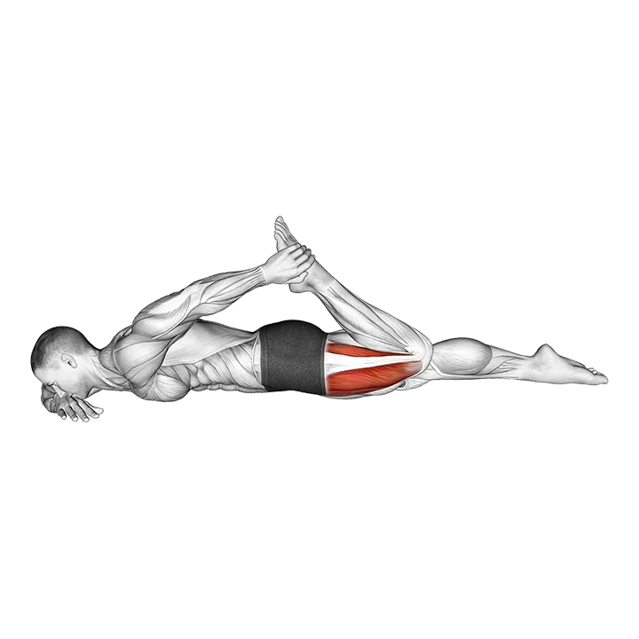 Quadriceps lying stretch exercise animation (Male)