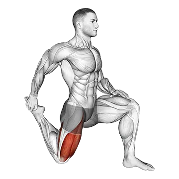 Quadriceps stretch
