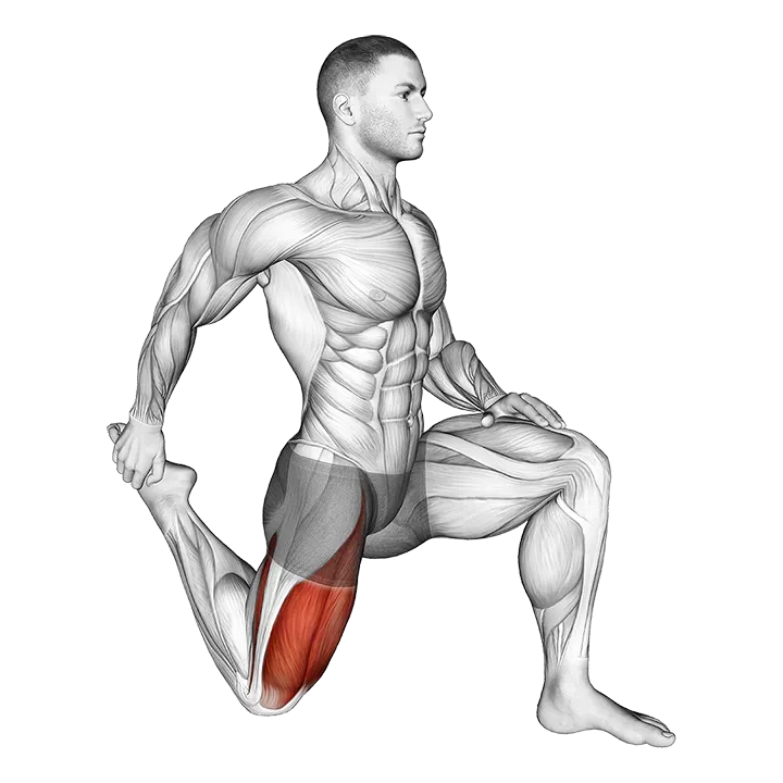 Quadriceps stretch exercise animation (Male)