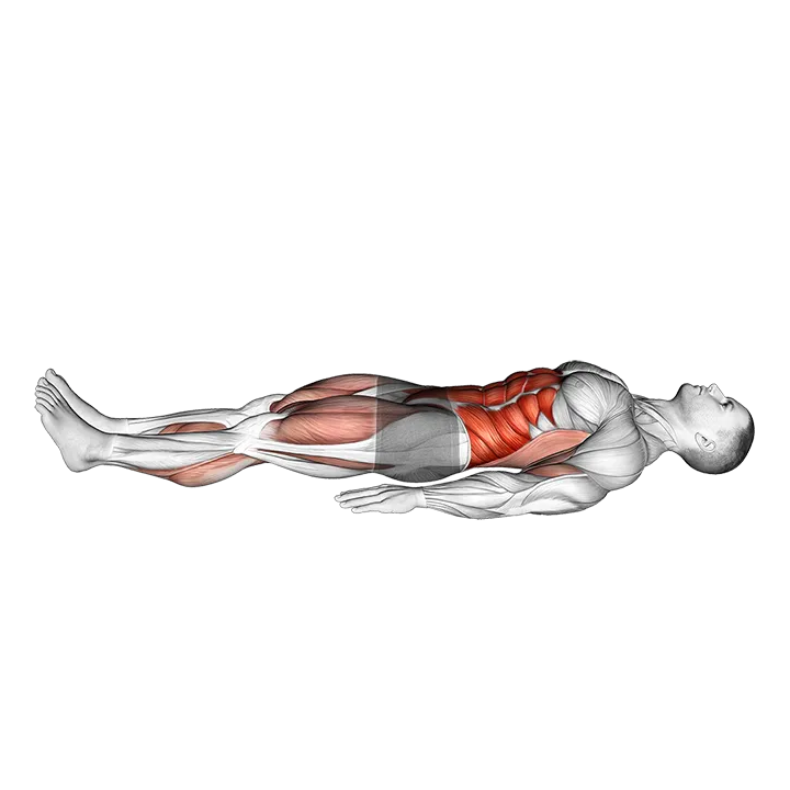 Single Leg Stretch (bent knee) exercise animation (Male)