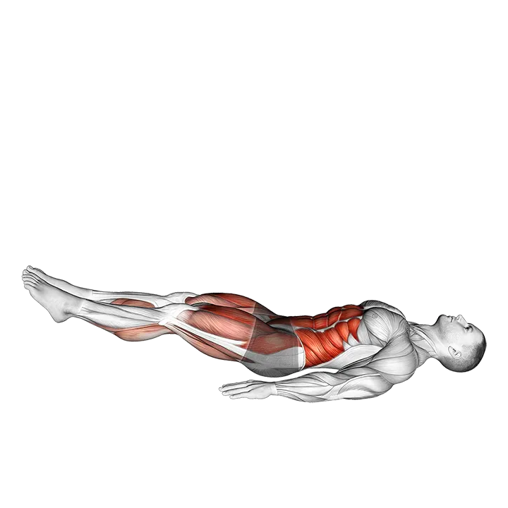 Single Straight Leg Stretch exercise animation (Male)