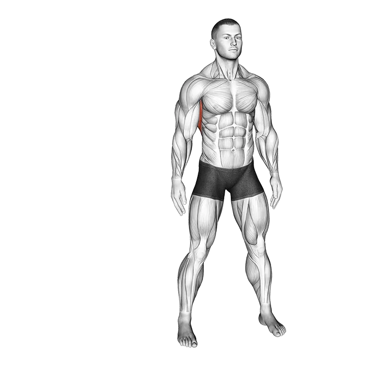 Slopes Towards Stretch exercise animation (Male)
