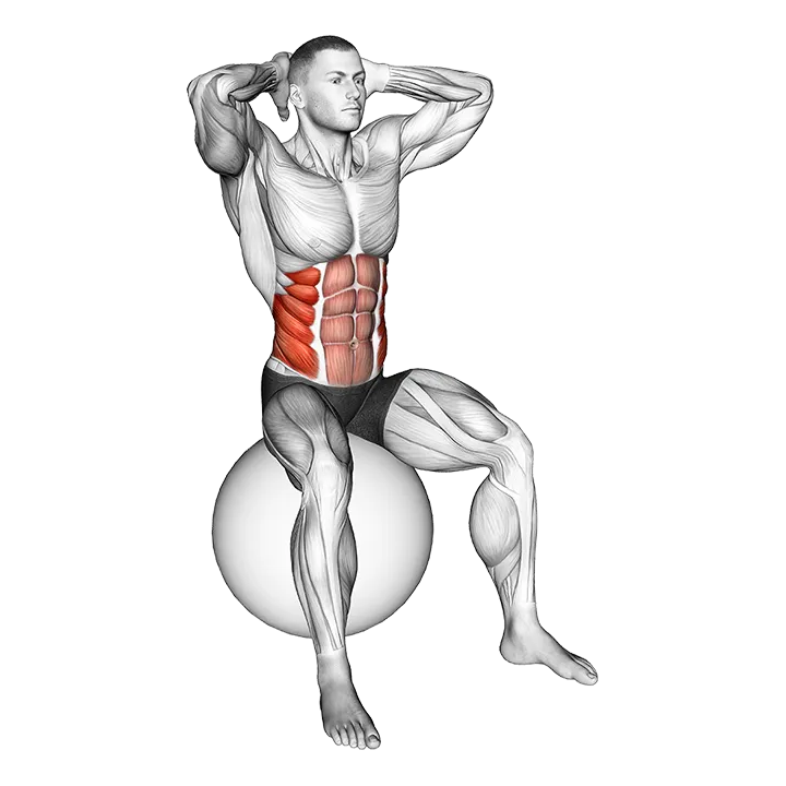 Spinal Stretch (on stability ball) exercise animation (Male)