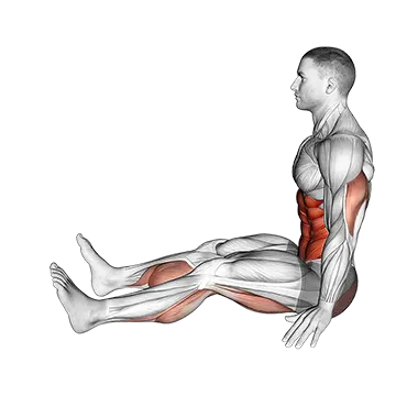 Spine Stretch Forward