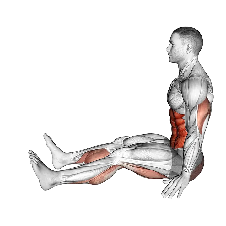 Spine Stretch Forward exercise animation (Male)