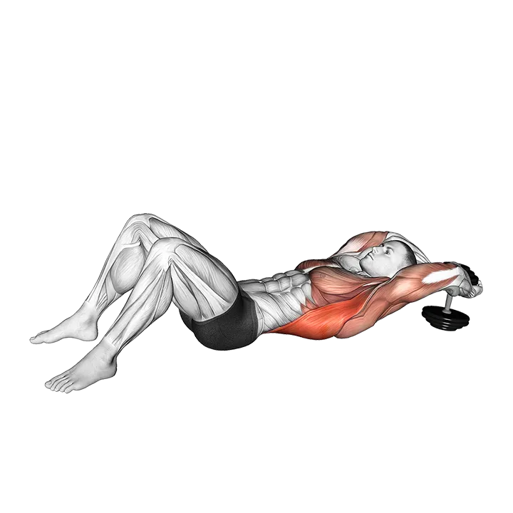 Dumbbell Pullover on floor exercise animation (Male)
