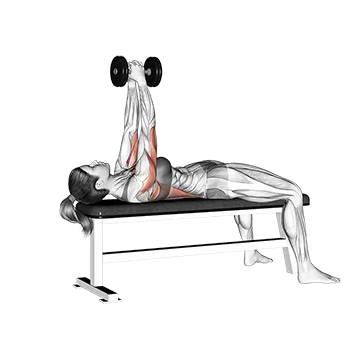 Dumbbell Bent Arm Pullover