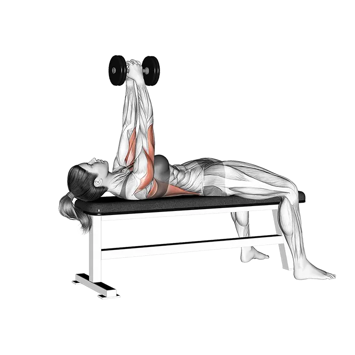 Dumbbell Bent Arm Pullover exercise animation (Female)