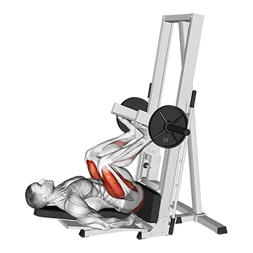 Sled Vertical Leg Press