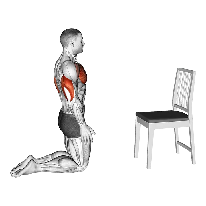 Push with Chair exercise animation (Male)