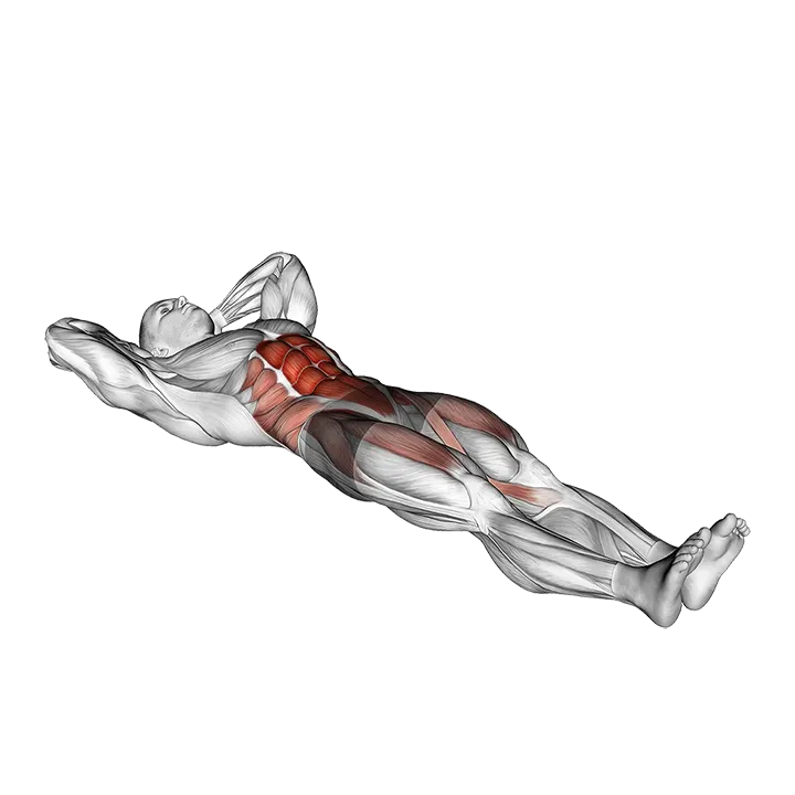 Crunch Single Leg Lift exercise animation (Male)