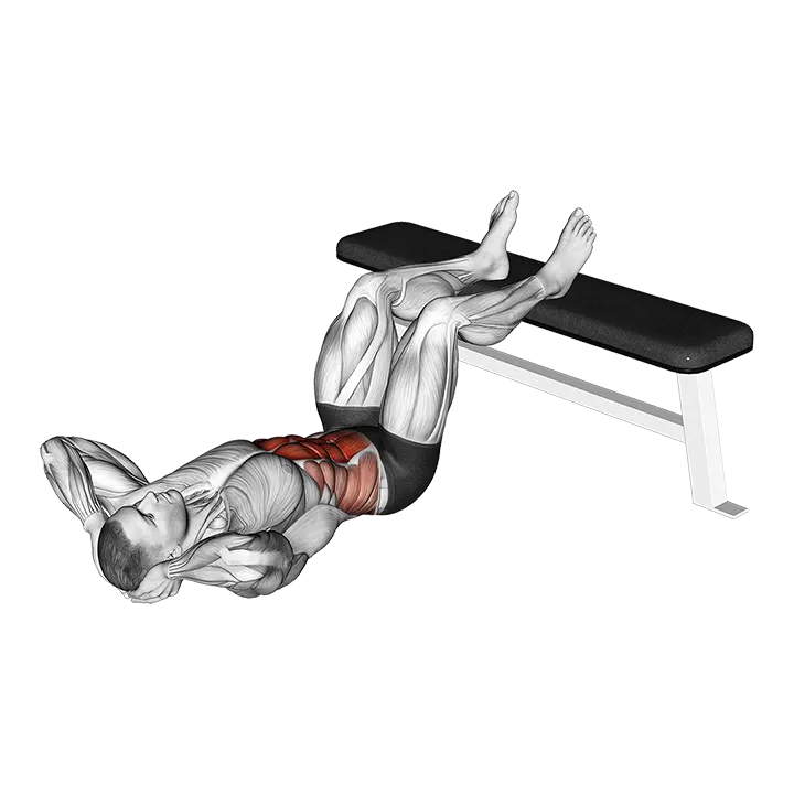Crunch Hold exercise animation (Male)