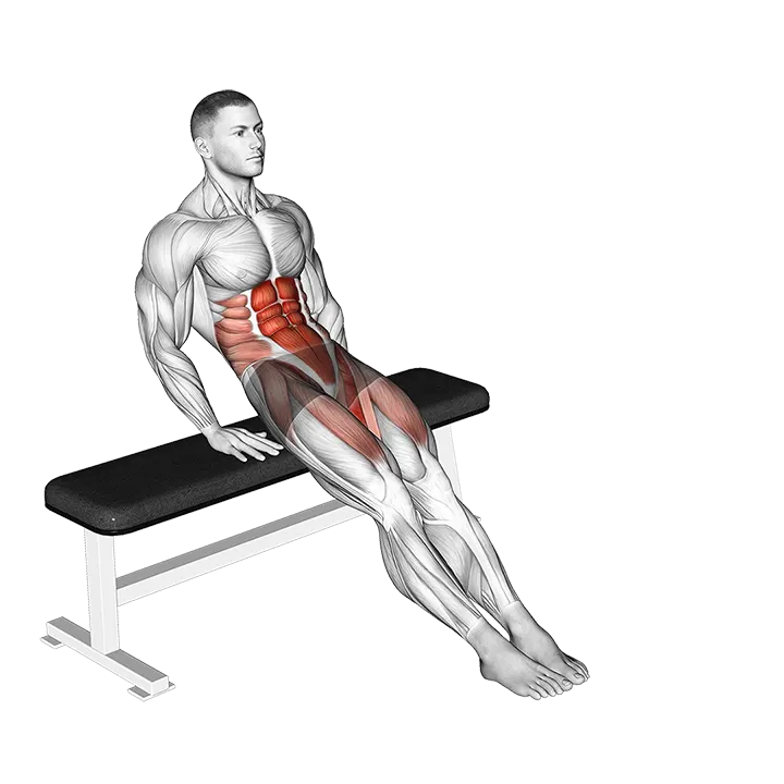 Bench Reverse Crunch Circle exercise animation (Male)