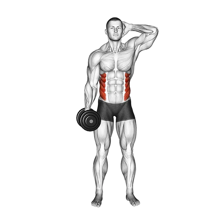 Dumbbell Side Bend (VERSION 2) exercise animation (Male)