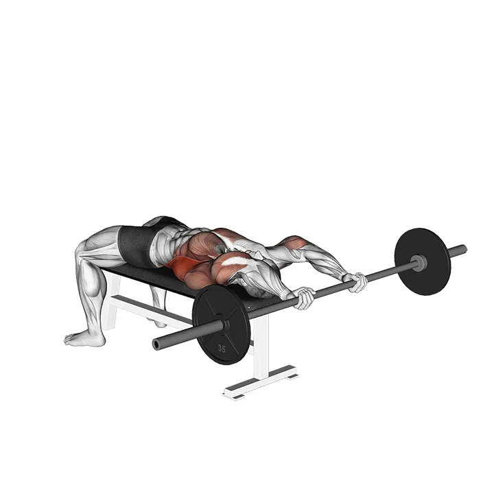 Barbell Pullover exercise animation (Male)