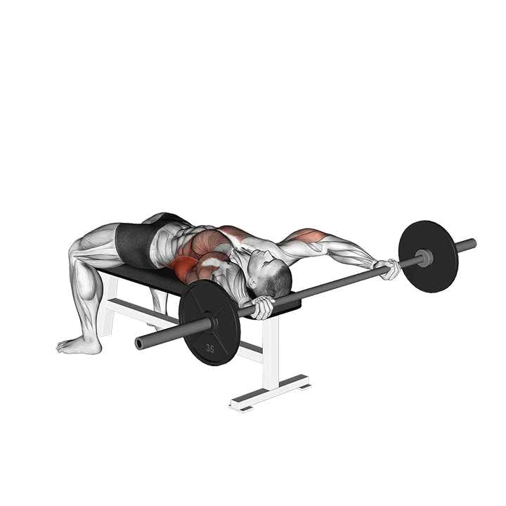 Barbell Wide Pullover exercise animation (Male)