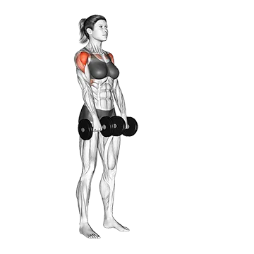 Dumbbell Alternate Front Raise