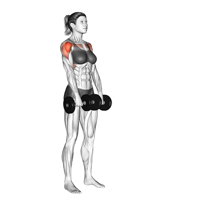 Dumbbell Alternate Front Raise exercise animation (Female)