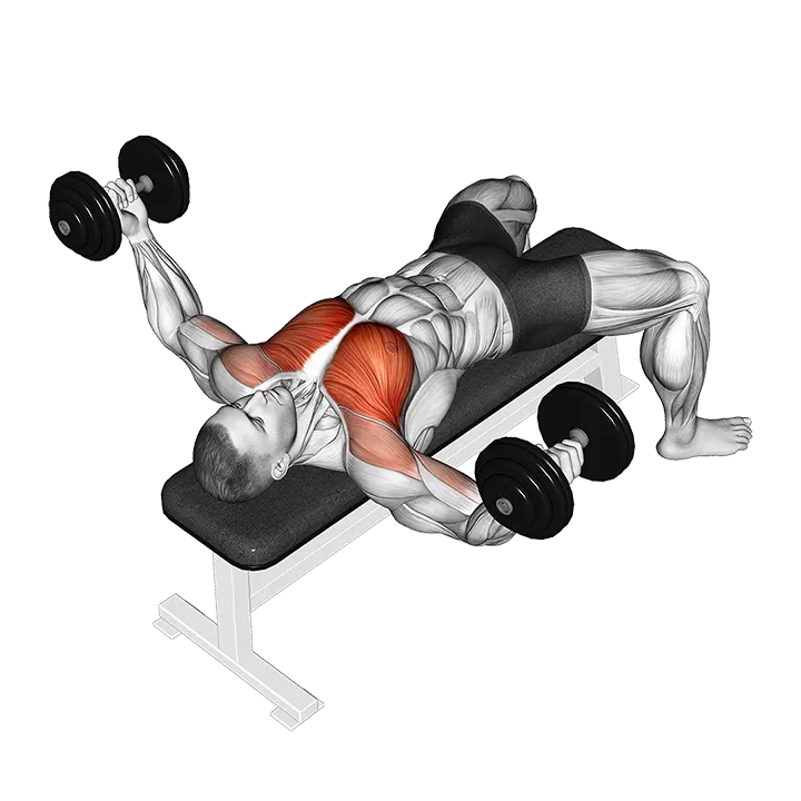 Dumbbell Twisted Fly exercise animation (Male)