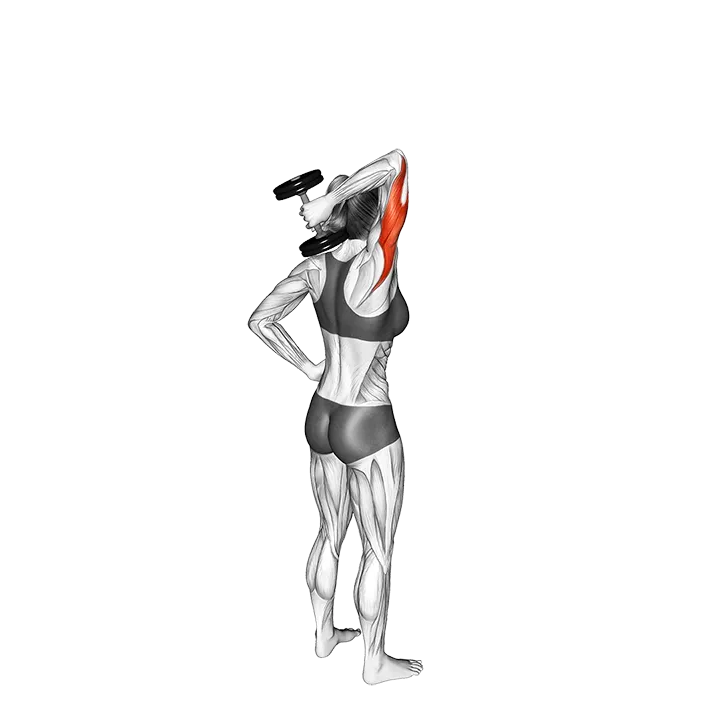 Dumbbell One Arm Triceps Extension exercise animation (Female)