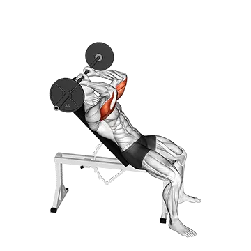 Barbell Incline Triceps Extension Skull Crusher